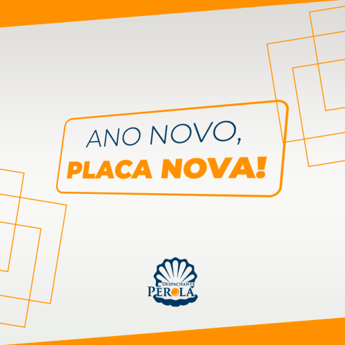 ANO NOVO, CARRO_PLACA NOVA - Despachante