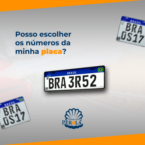 ESCOLHER NUMEROS DA PLACA - Despachante